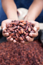 POUDRE DE CACAO 500g