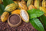 POUDRE DE CACAO 500g