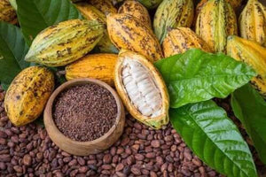 POUDRE DE CACAO 500g