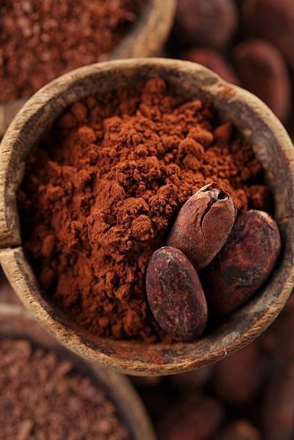 POUDRE DE CACAO 500g