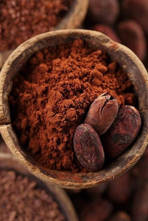 POUDRE DE CACAO 500g