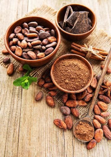 POUDRE DE CACAO 500g