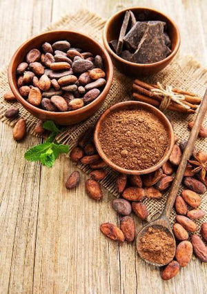 POUDRE DE CACAO 500g