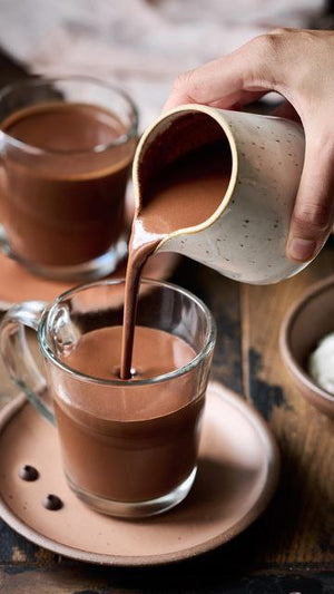 POUDRE DE CACAO 500g