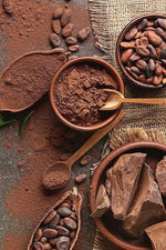 POUDRE DE CACAO 500g